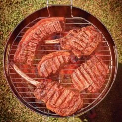 Tramontina 15.5 In Stainless Steel Round BBQ Charcoal Grill With Lid -Tramontina 80905033IXM010G